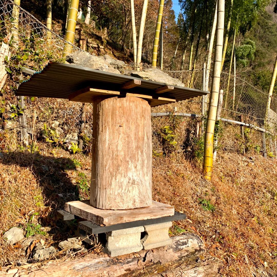 熊本県産の非加熱日本ミツバチの蜂蜜