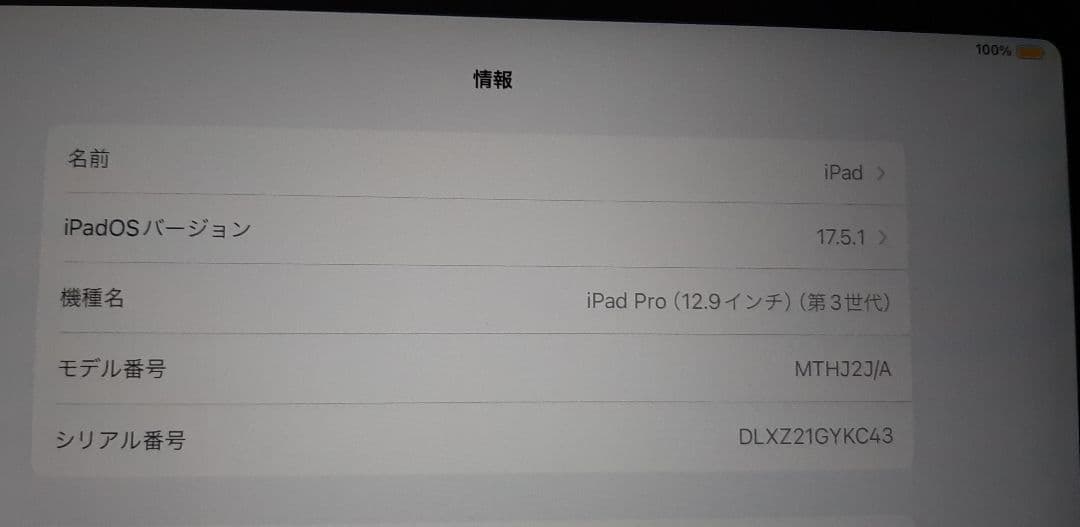 ipad pro 第3世代 12.9インチ 64GB, pencil付