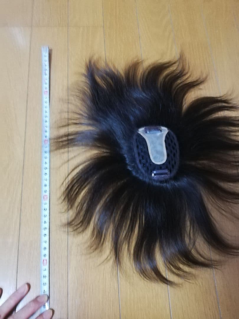 ジュリアオージェ　部分ウィッグ