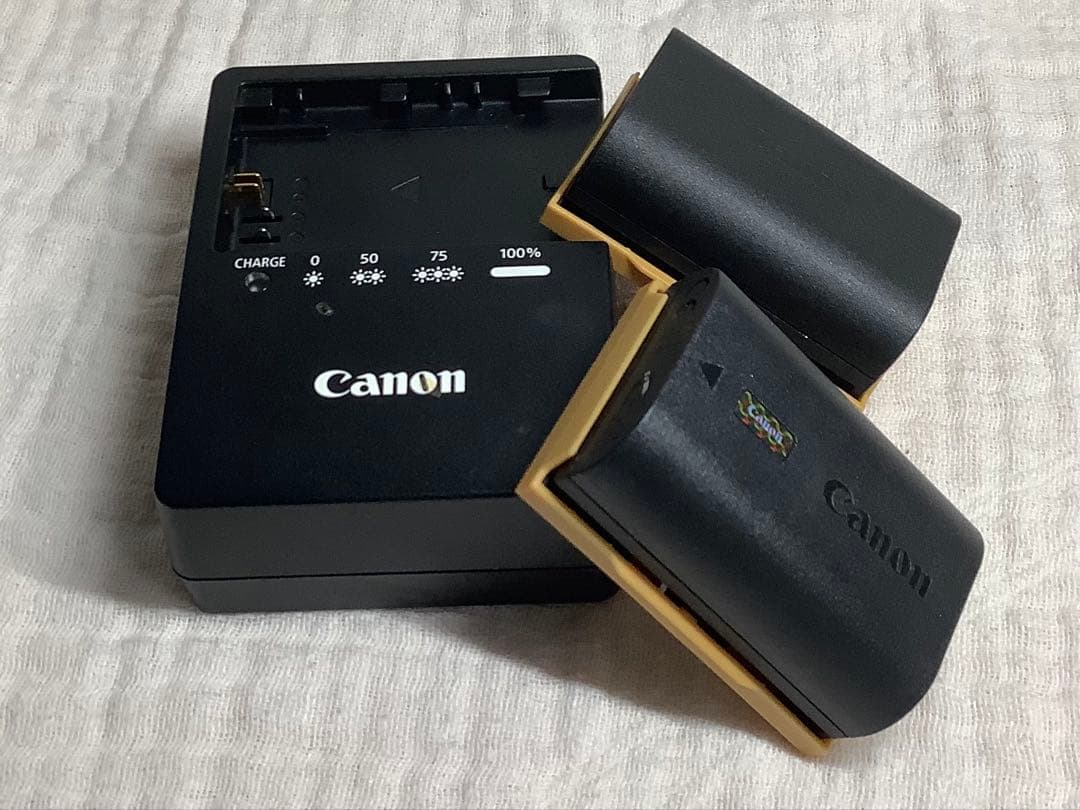 Canon EOS 6D Mark II 本体とレンズセットおまけ付き