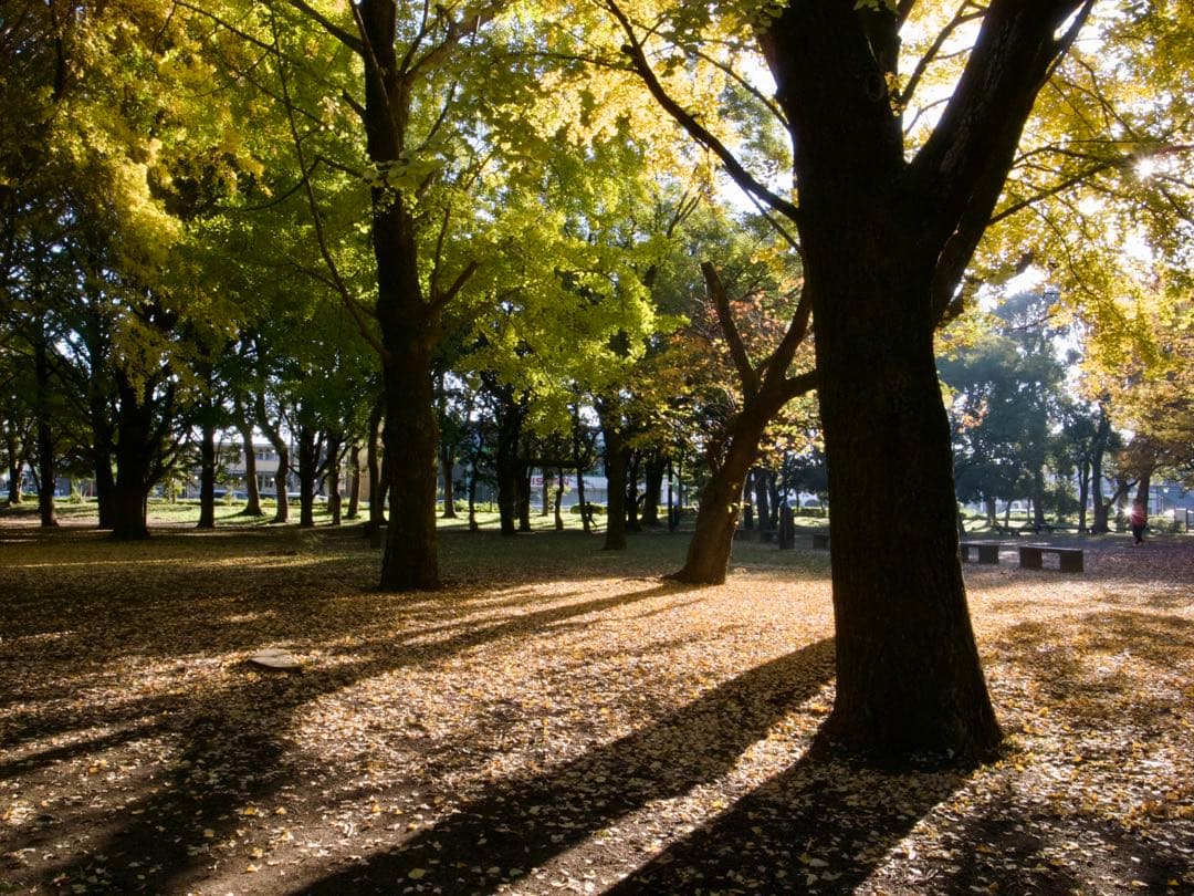 RICOH GR DIGITAL Ⅱ コンパクトデジタルカメラ