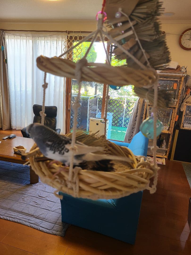 ④ Mont-Blanc＊　揺れるアスレチックLサイズ　6こ