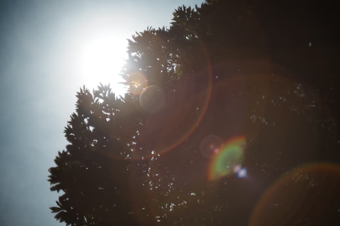 【希少8枚玉】動作◎ Super Takumar 50mm F1.4 716