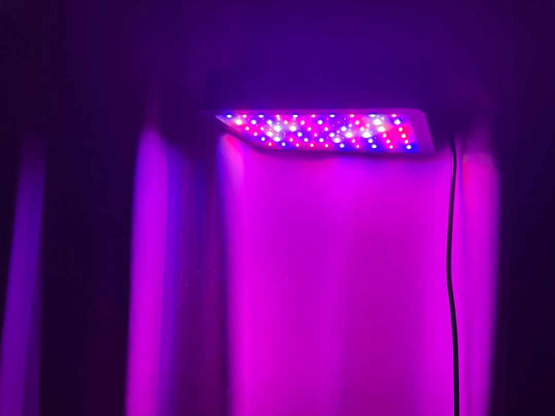 LED植物育成ライト 3個セット　値下げ