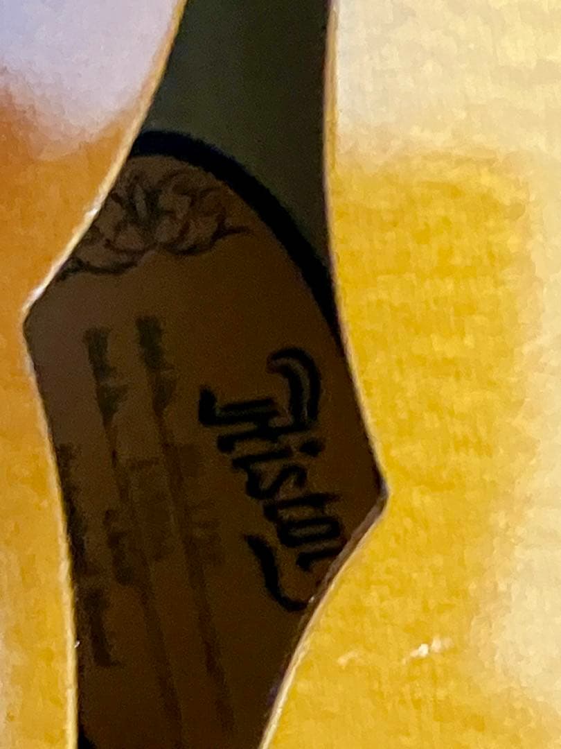 History ヒストリー アコースティックギター HS-175P 島村楽器