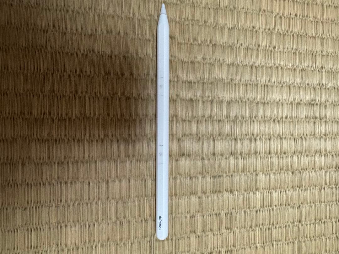 iPad Pro (第1世代)11インチ＋Apple Pencil 第2世代