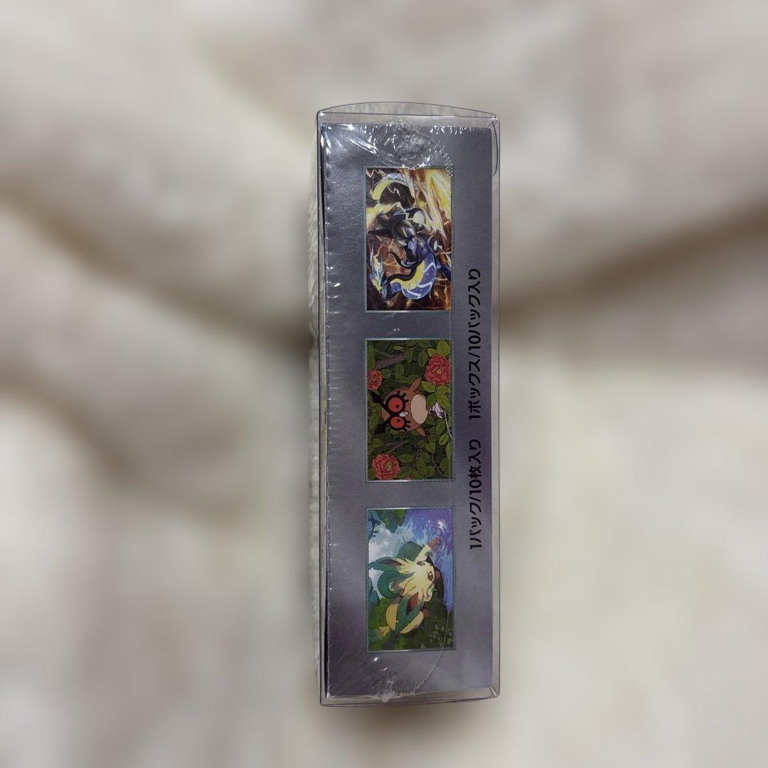 【シュリ付きケース入り】ポケモンカードゲーム テラスタルフェスex BOX