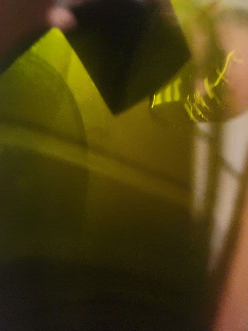 【最終価格】Wマグナム3000mlシャンパーニュモエ・エ・シャンドン