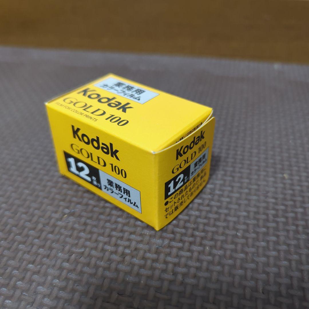 Kodak GOLD100 フィルム 12枚撮り×20本セット 業務用