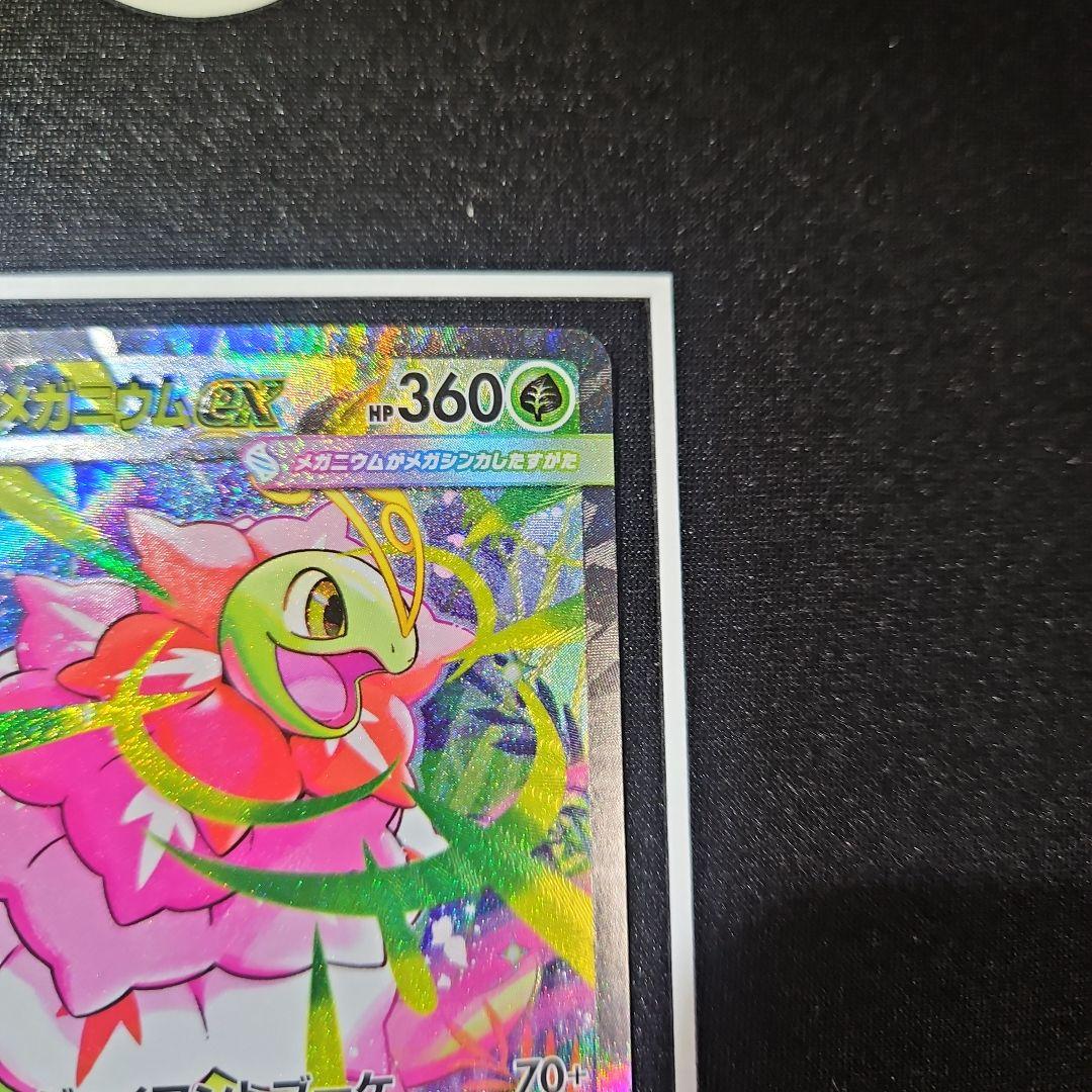 【自引き】メガメガニウムex sar スタートデッキ100