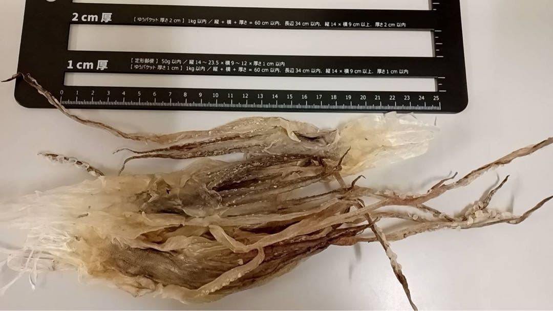 【大人気商品!!】前浜スルメ足800ｇ×2