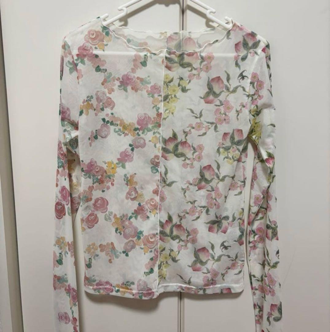 poppy シースルートップス