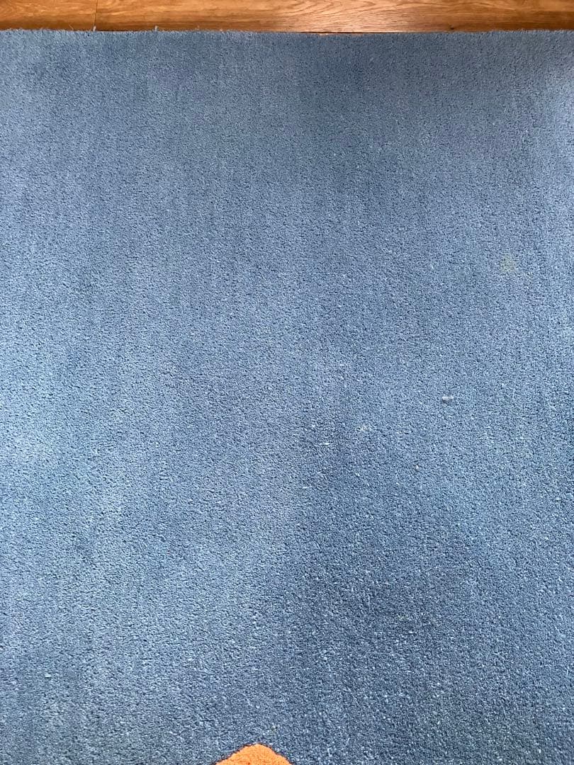 COLD PICNIC ラグ　マット　コールドピクニック　121cm×184cm