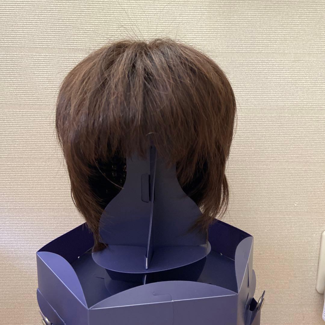 FONTAINE フォンテーヌ　レディスアデランス　ウィッグ　未使用品に近い