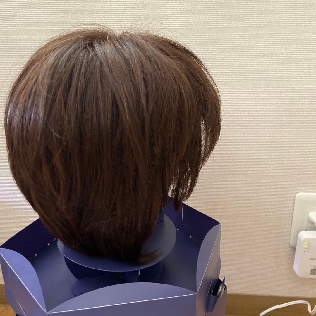 FONTAINE フォンテーヌ　レディスアデランス　ウィッグ　未使用品に近い