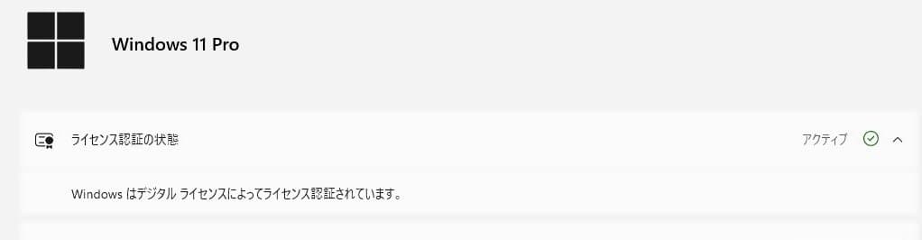 ThinkPad L590 Corei5 8GB SSD256GB win11㉔