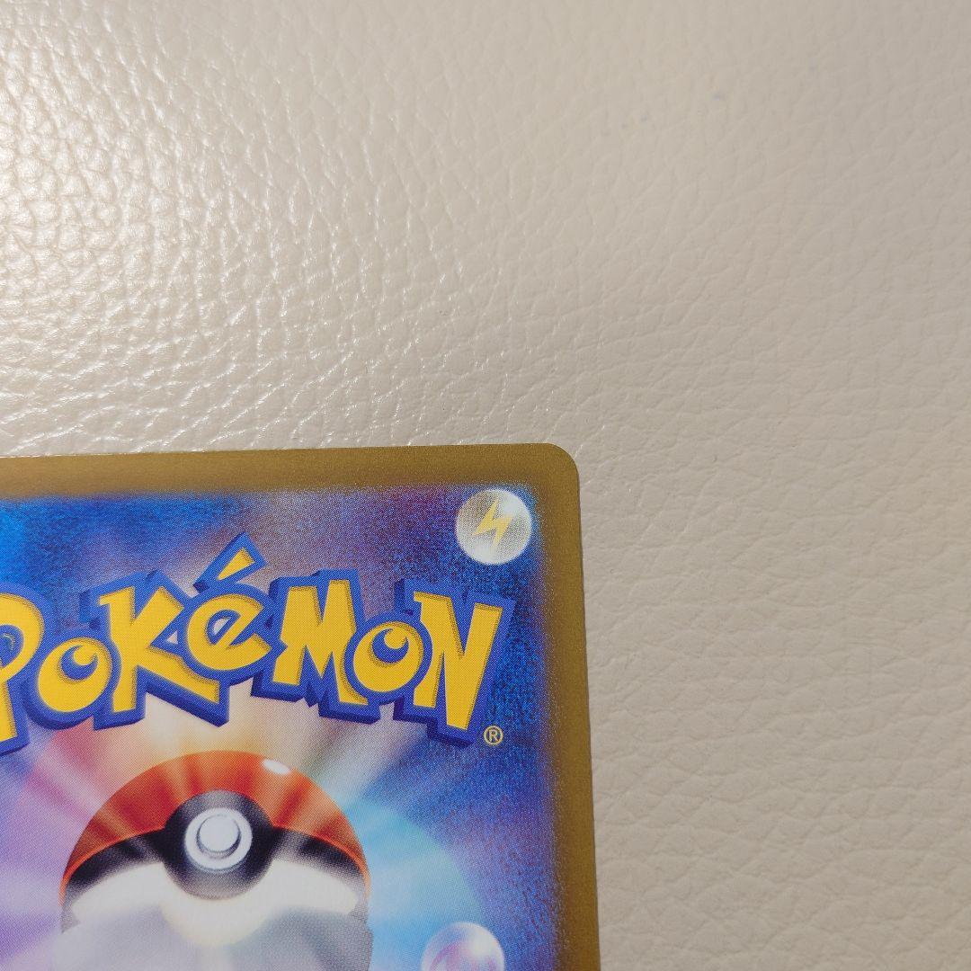 ゼイユ　SAR 自引き品