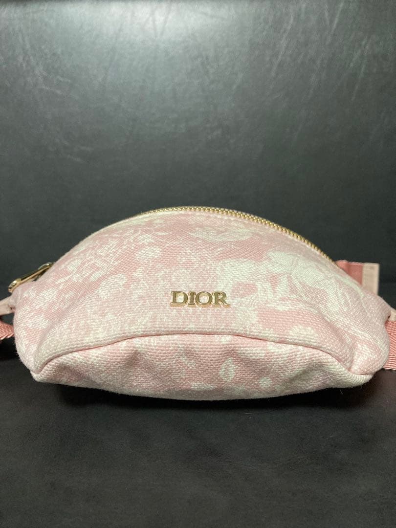 美品⭐︎ クリスチャン ディオール Dior ウエストバッグ ボディバッグ