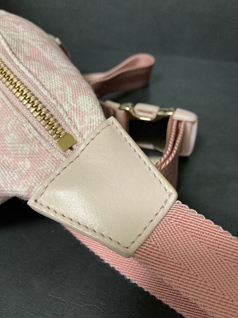 美品⭐︎ クリスチャン ディオール Dior ウエストバッグ ボディバッグ