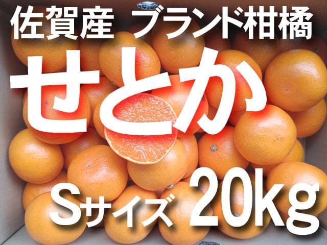 【送料無料】【小玉】佐賀産　ブランド柑橘『せとか』Ｓ　20ｋｇ