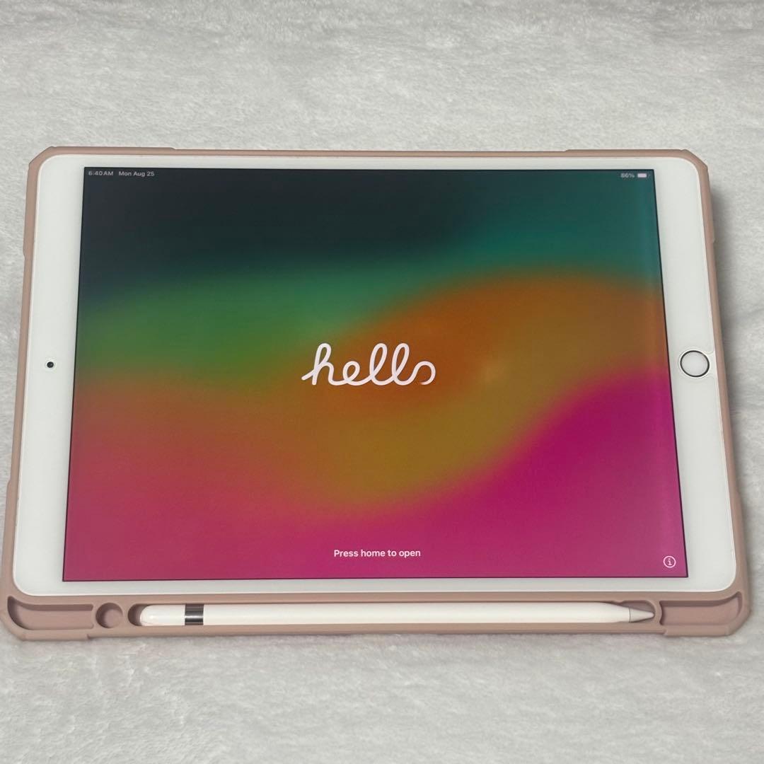 iPad Pro 10.5インチ(64GB、最大容量83%程度) セット