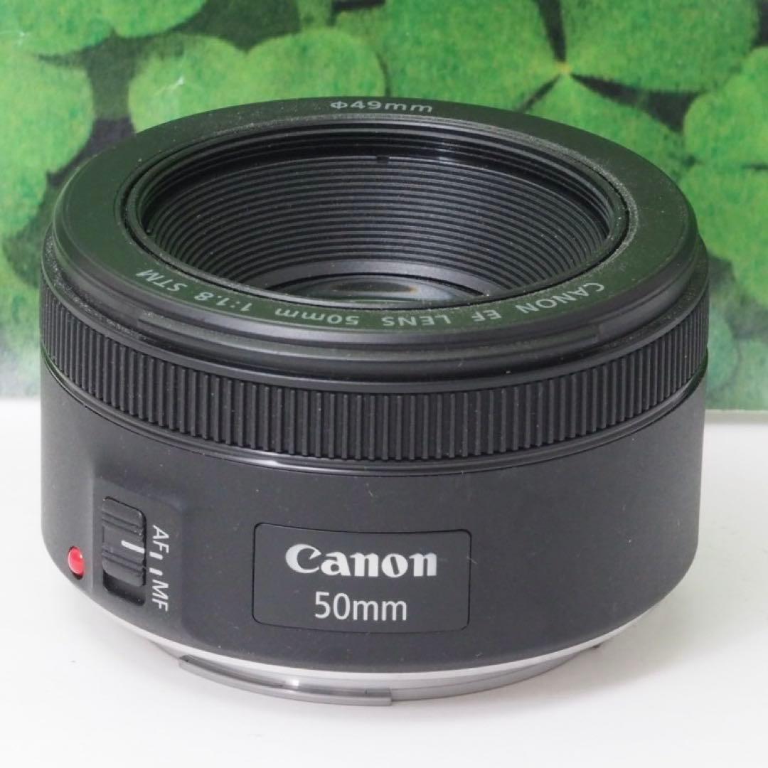 【美品】キヤノン EF50mm 単焦点 STMで動画もバッチリ♪ 神レンズ