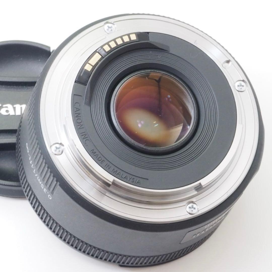【美品】キヤノン EF50mm 単焦点 STMで動画もバッチリ♪ 神レンズ