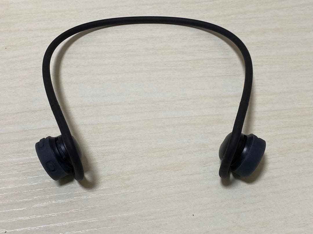 イヤホン NTT sonority nwm GO