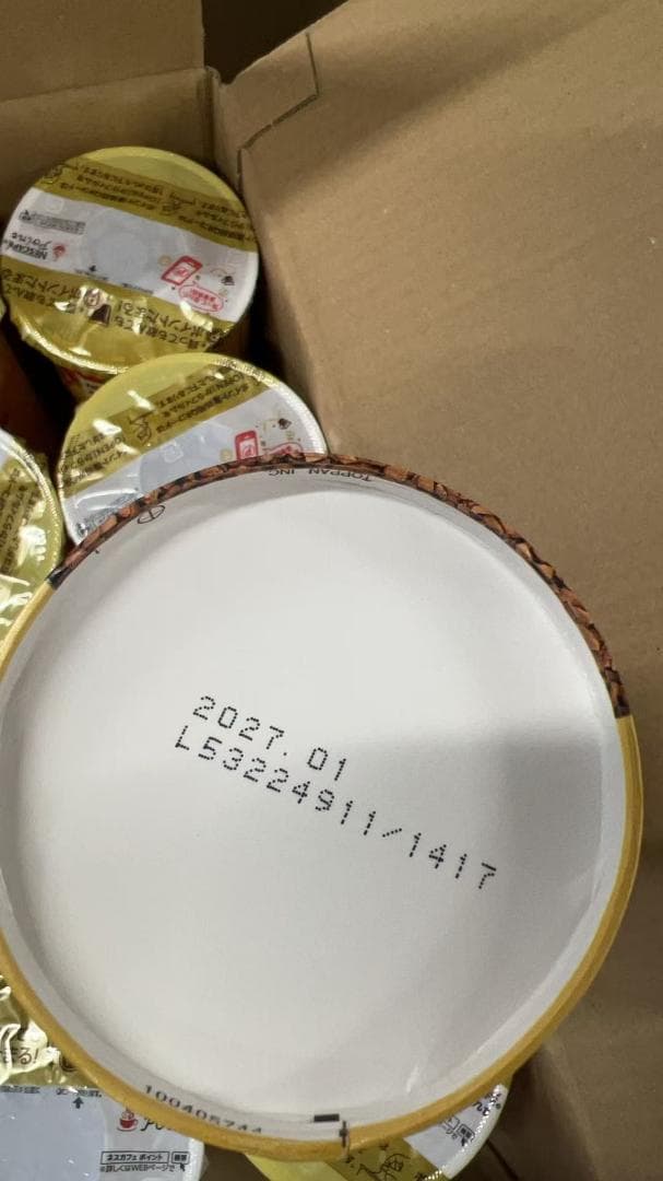 ネスカフェ ゴールドブレンド エコ＆システムパック 95 g 10箱