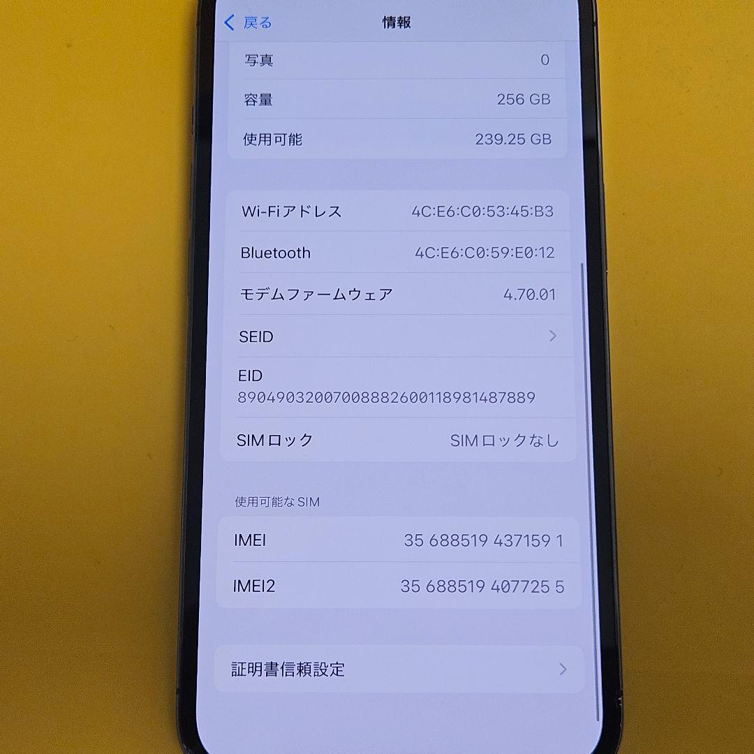 iPhone 13 Pro 256GB｜24時間以内発送#591