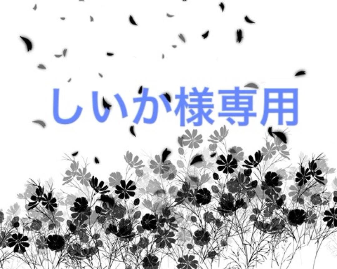 古川慎　写真集セット