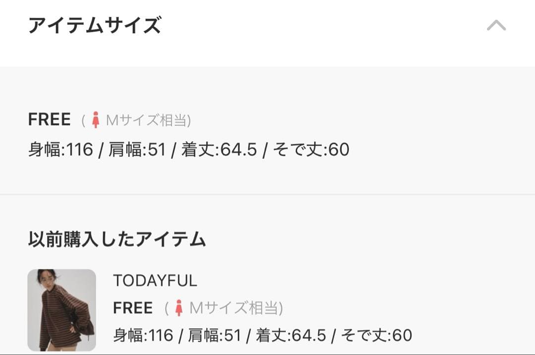 TODAYFUL Border Long T-shirts ブラウン