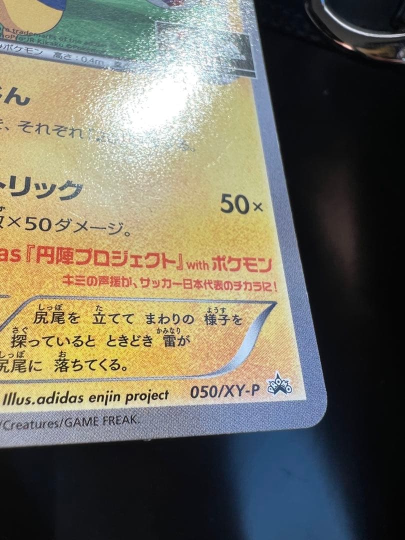 日本代表のピカチュウ②：ポケモンNewモン! Book付録 PROMO XYシリ