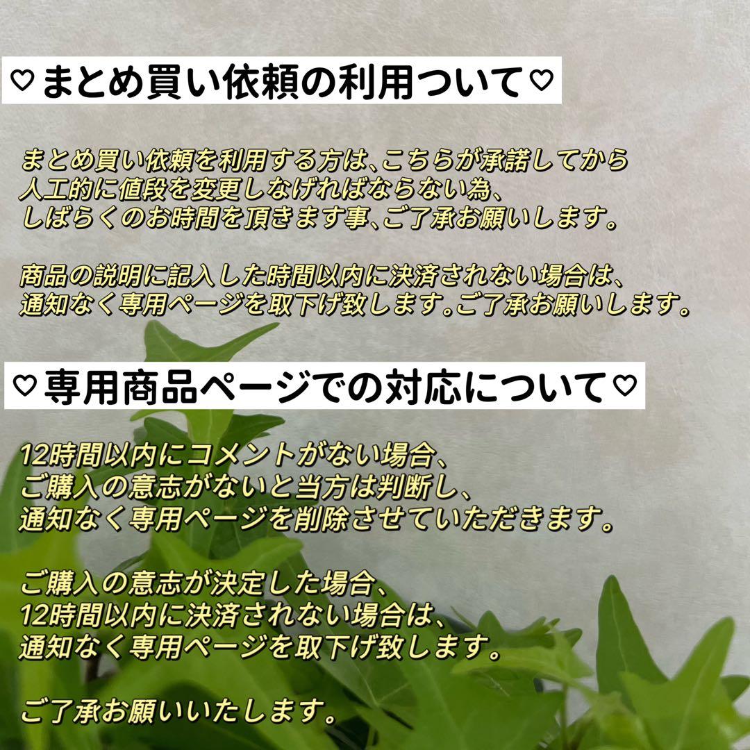 AMi様 リクエスト 5点 まとめ商品　ケシパールリング　ペンダントトップ