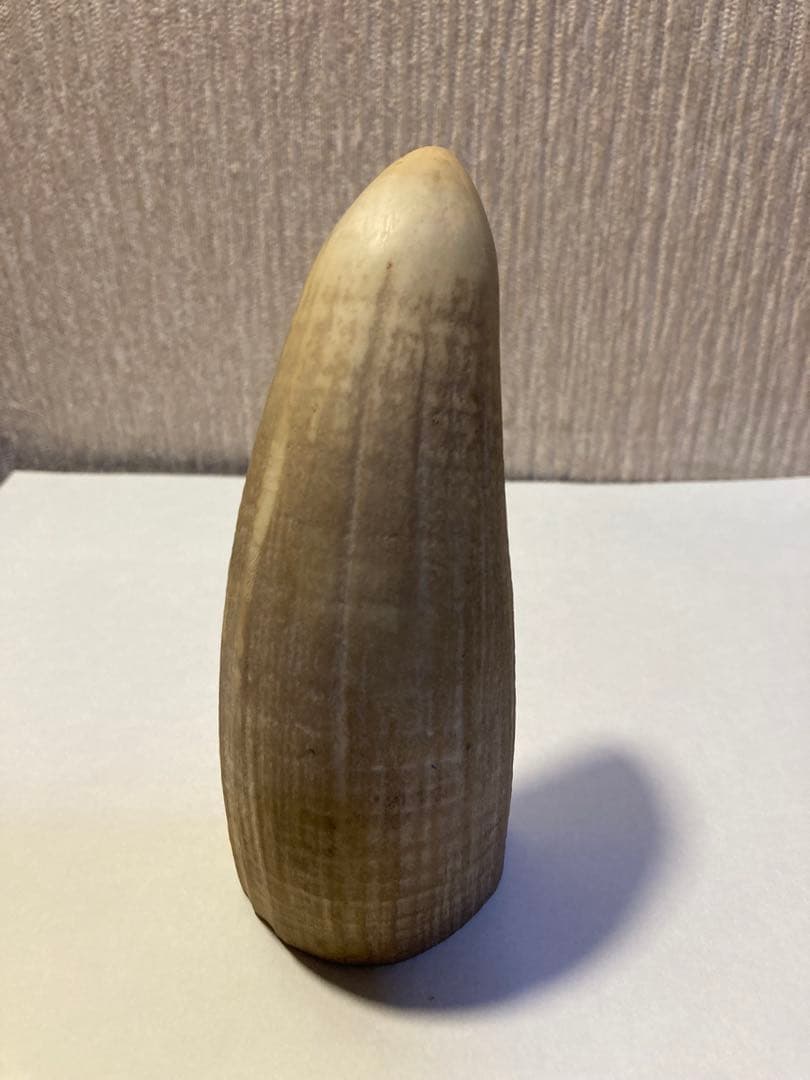 マッコウクジラ歯（根付け　ルアー)