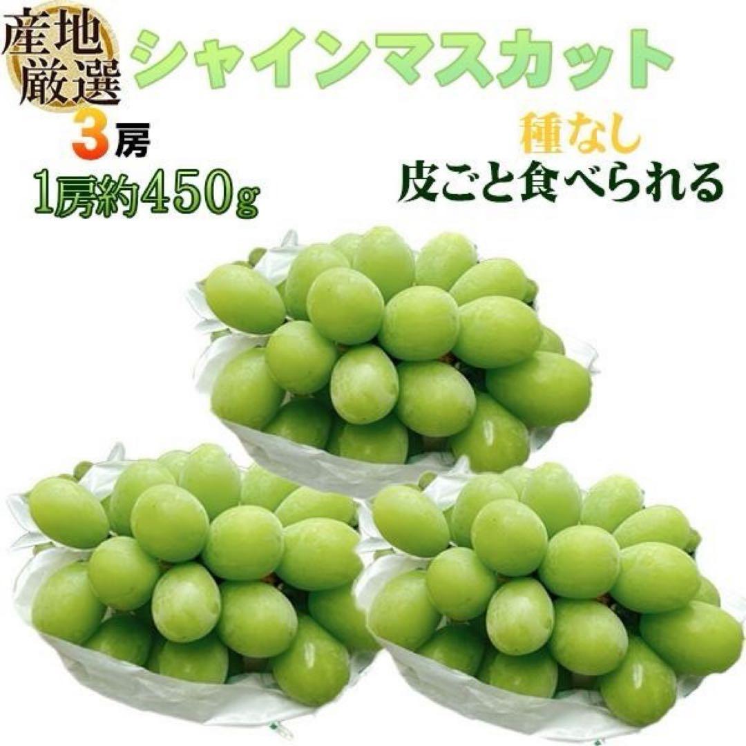 産地厳選　シャインマスカット　3房　1房約450ｇ　クール便発送