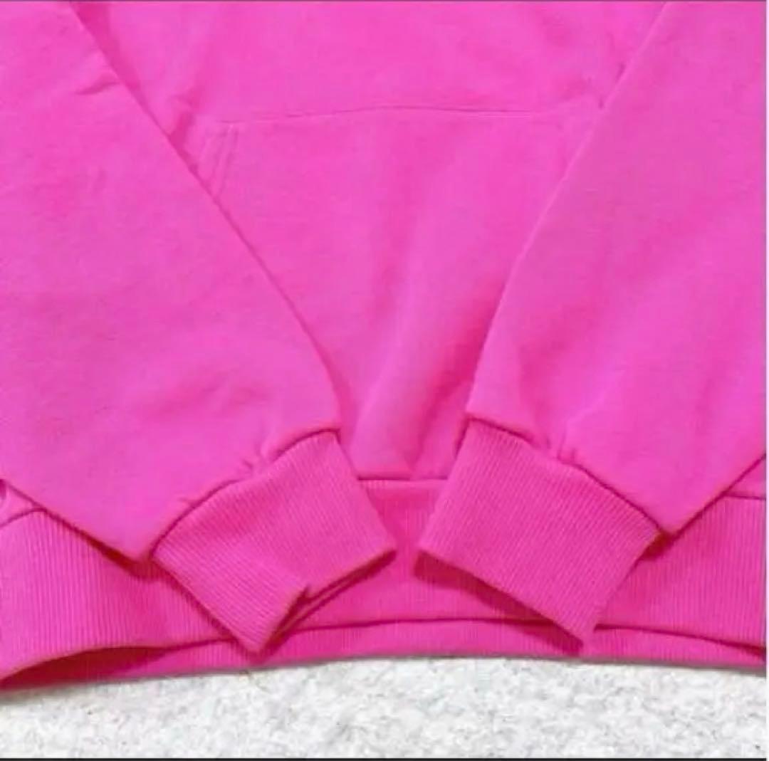 色希少 CELINE ピンク パーカー