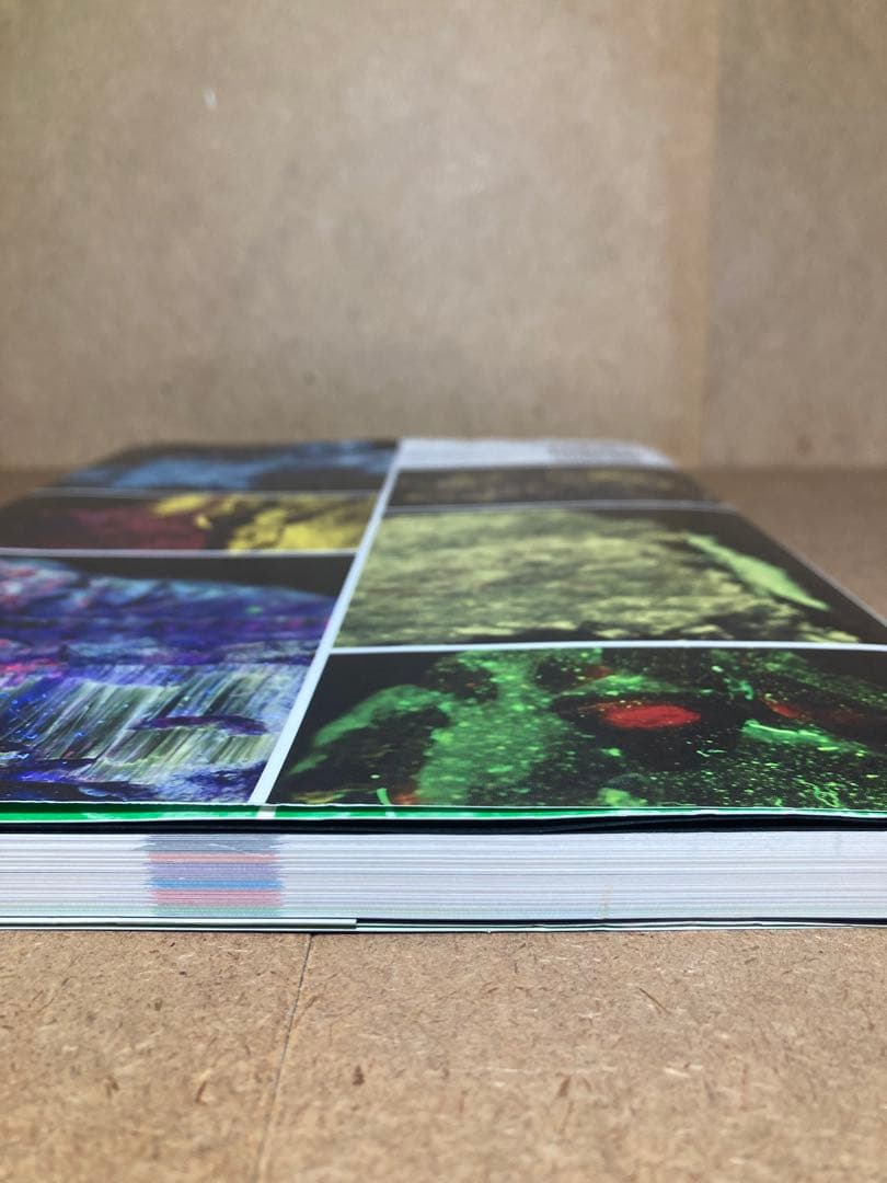 蛍光鉱物&光る宝石ビジュアルガイド 光る石を楽しむデータ・ブック 山川倫央