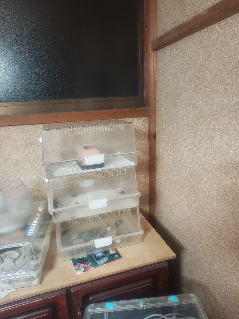 レプティギア365