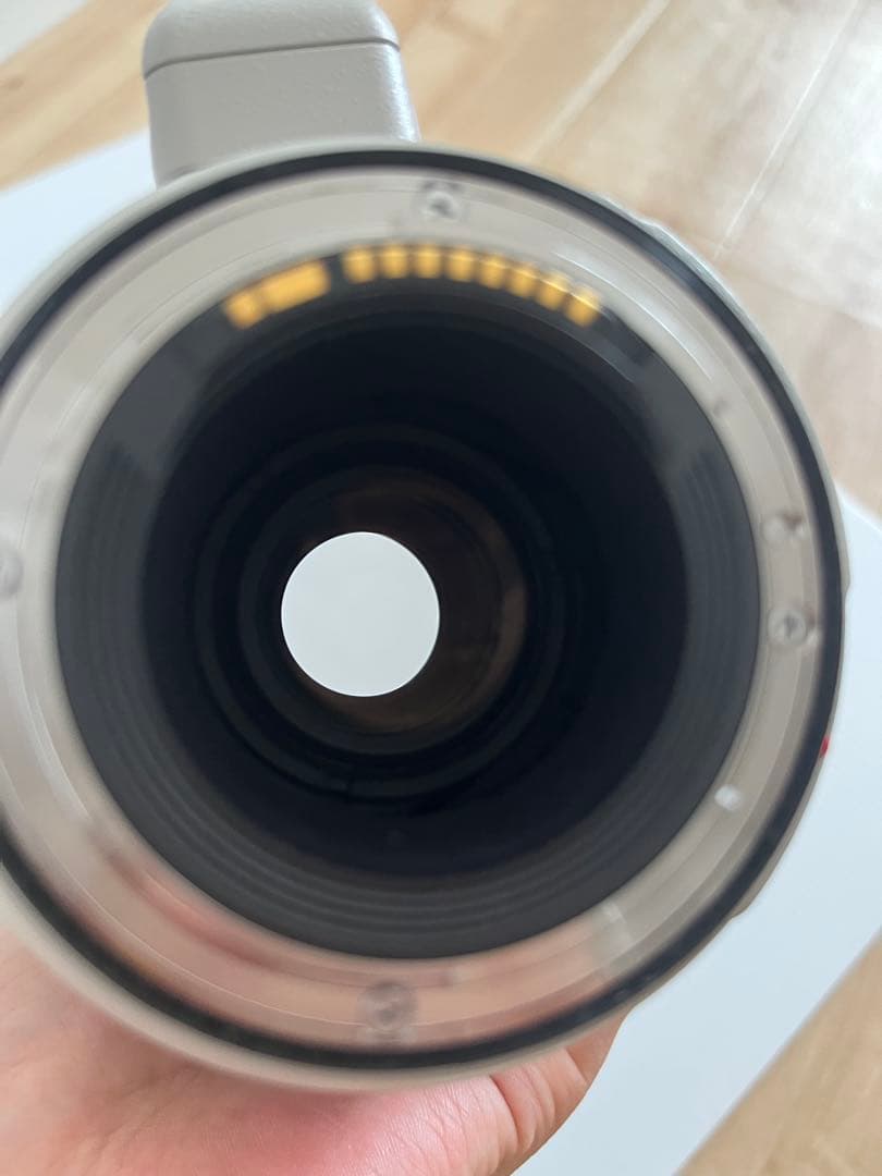 EF 100-400mm f/4.5-5.6L IS II ⭐️PLフィルター付き