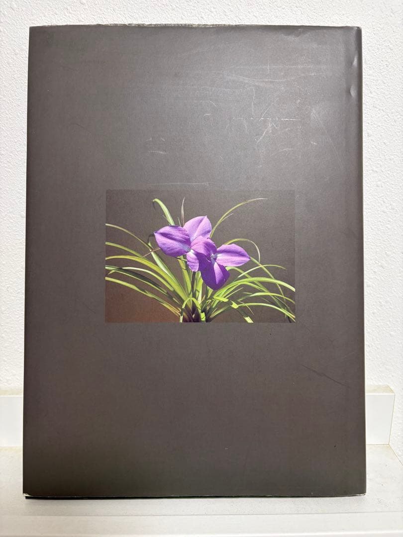 【絶版・名著】 ティランジア・ハンドブック改訂版　清水秀男・滝沢弘之　共著