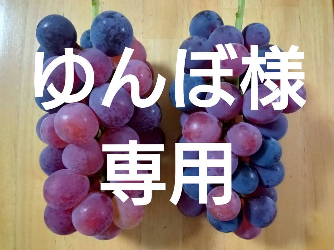 加工用 ぶどう ピオーネ シャインマスカット 粒