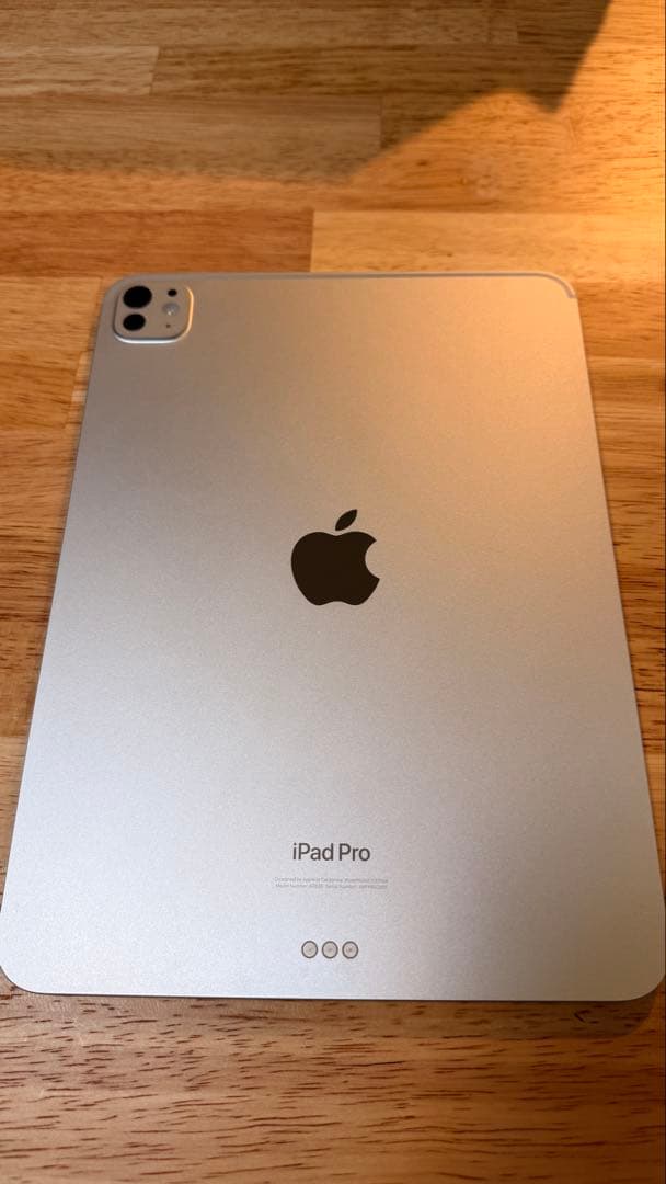 Apple iPad Pro (11インチ) 256GB M4 Wi-Fiモデル