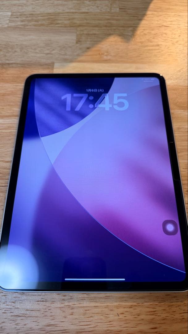 Apple iPad Pro (11インチ) 256GB M4 Wi-Fiモデル