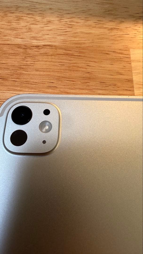 Apple iPad Pro (11インチ) 256GB M4 Wi-Fiモデル