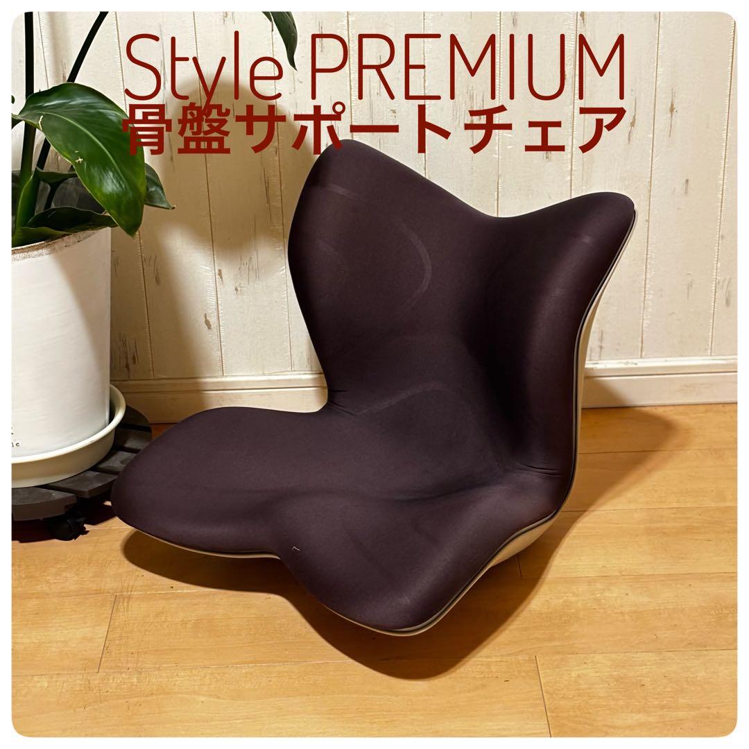 スタイル プレミアム/Style PREMIUM Se骨盤サポートチェア