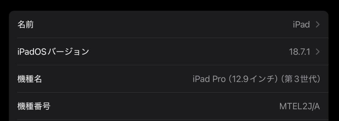 iPad Pro 12.9インチ 第3世代 本体