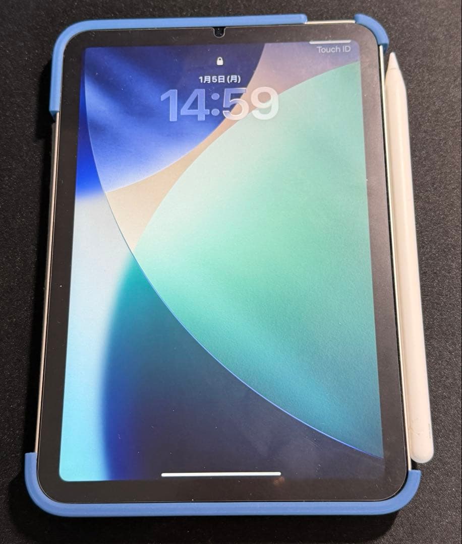 鯛焼様iPad mini Wi-Fiモデル 256GB 極美品