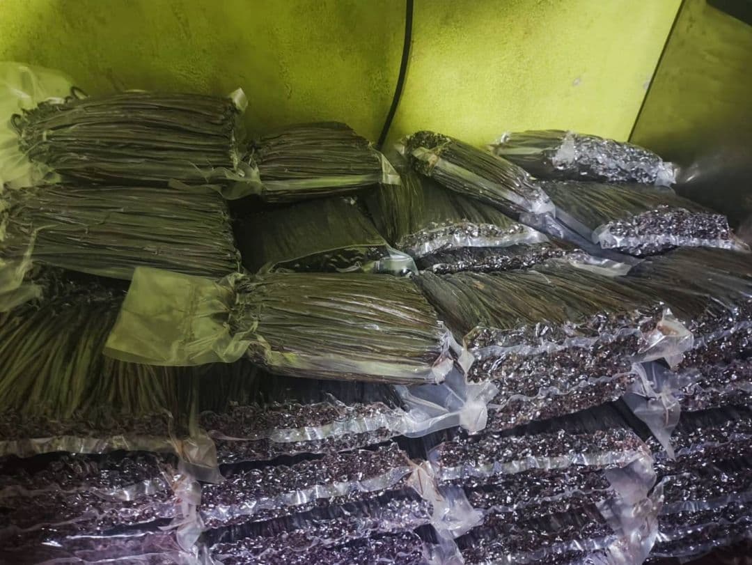 パプアニューギニア産 オーガニック バニラビーンズ 1ｋｇ