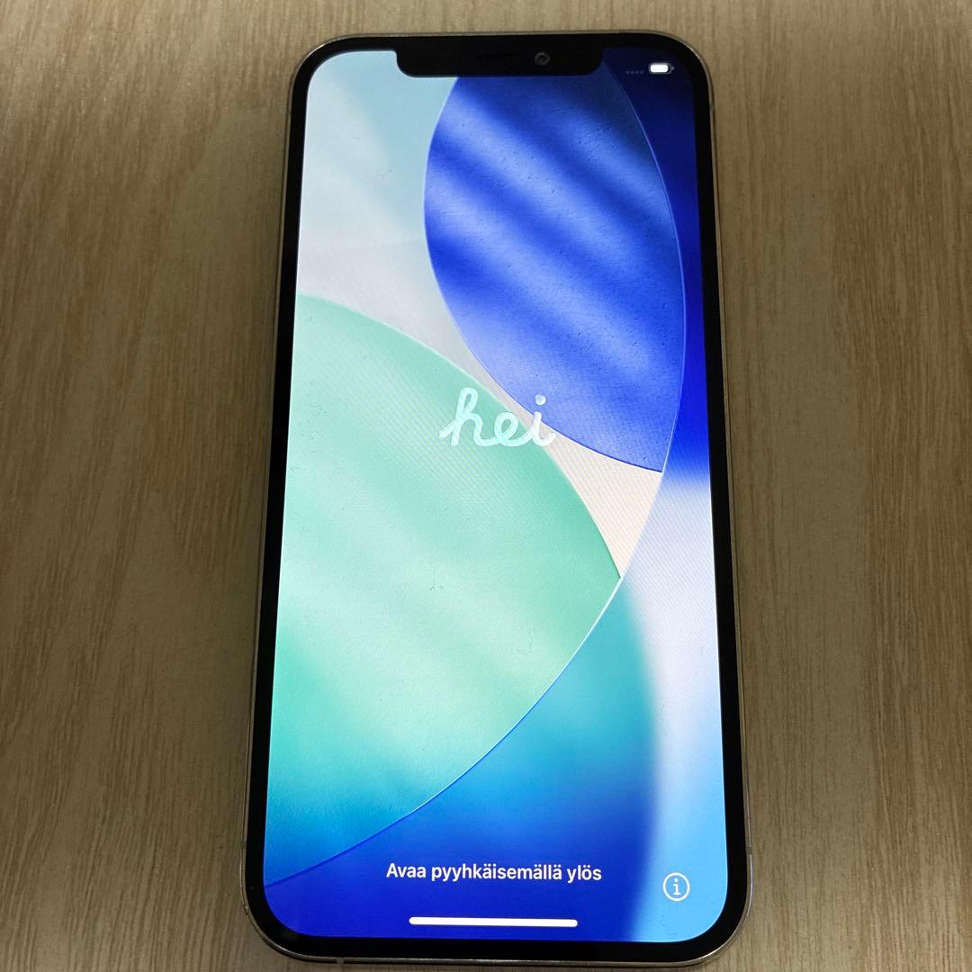 Apple iPhone 12Pro本体